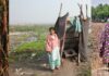 Open defecation is a ticking time bomb; defuse it before it goes off
