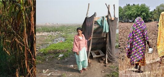 Open defecation is a ticking time bomb; defuse it before it goes off