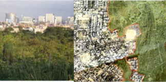 Last ditch bid to save the Aravallis: Civil society pitted against Builder Mafia