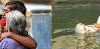 Despite grim Covid scenario things move in Bihar only when high court intervenes things move in Bihar only when high court intervenes