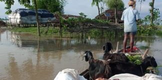 Flood havoc fails to wake up Bihar administration Flood havoc fails to wake up Bihar administration