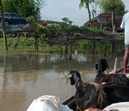 Flood havoc fails to wake up Bihar administration Flood havoc fails to wake up Bihar administration