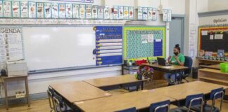 Pandemic adds to the primary education mess Pandemic adds to the primary education mess