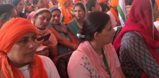 A woman and a farmer! The invisible workforce to the fore A woman and a farmer! The invisible workforce to the fore