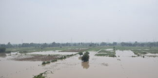 Crisis : Flood and flood victims in Delhi!