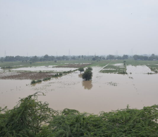 Crisis : Flood and flood victims in Delhi!